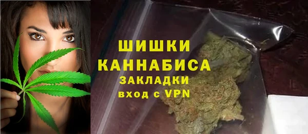 ГАЛЛЮЦИНОГЕННЫЕ ГРИБЫ Алзамай
