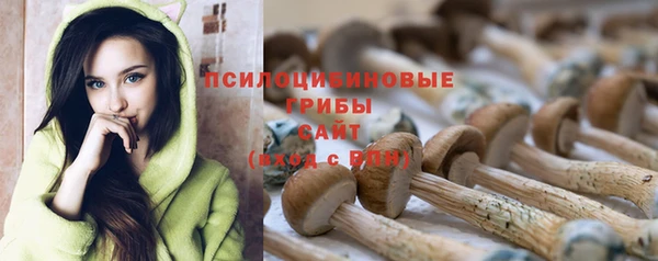 COCAINE Алексеевка