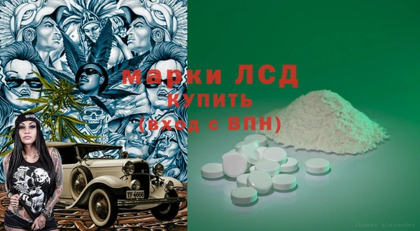 ГАЛЛЮЦИНОГЕННЫЕ ГРИБЫ Алзамай