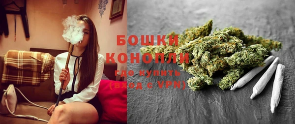 ГАЛЛЮЦИНОГЕННЫЕ ГРИБЫ Алзамай