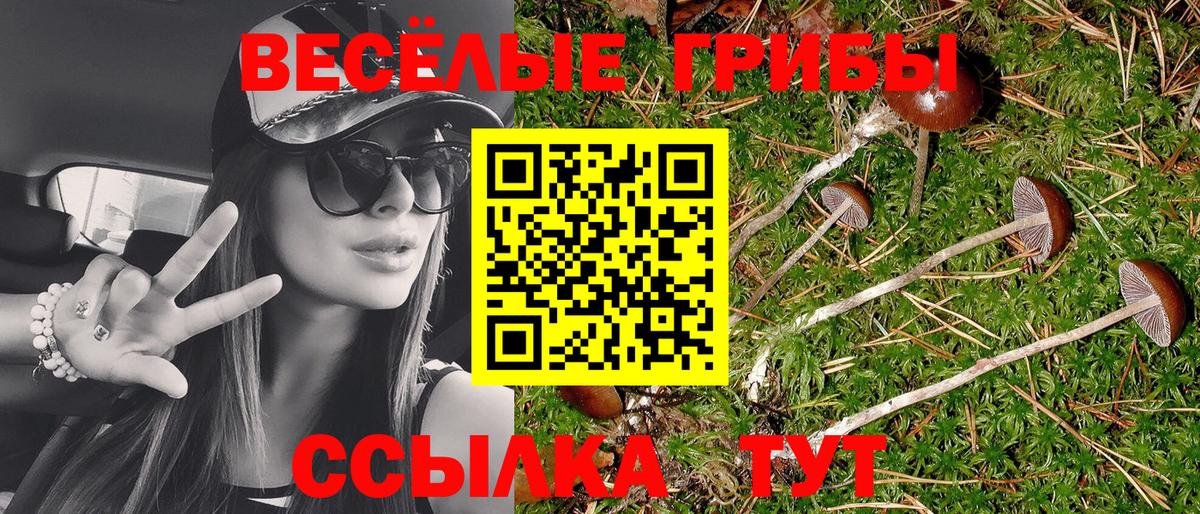 Усть-Илимск  Псилоцибиновые грибы Cubensis  Вход с VPN 